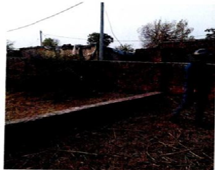 JITENDRA SINGH 247241